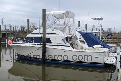 Bertram 33 Sportfisherman ficha tecnica 